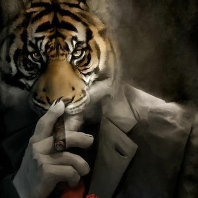 مبرمج ومصمم و