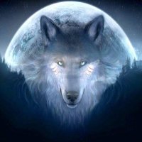 @WolfWarrior76(@WolfWar72757268) 's Twitter Profileg