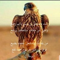 ابو نادر المشرافي (@msha_sm) 's Twitter Profile