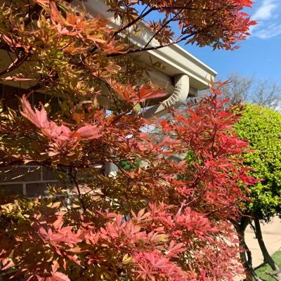 txiwsyd's profile picture. loving life