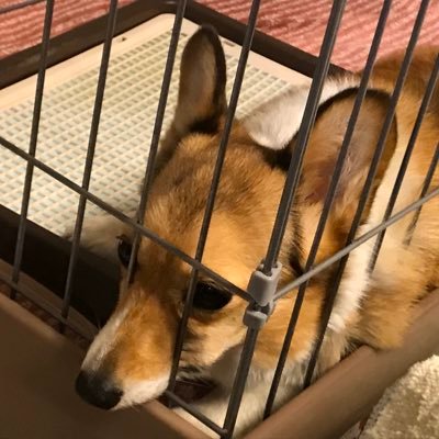 Tomoya22419245's profile picture. 上智経営