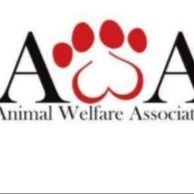 Animal Welfare Association Panchkula (@AnimalPanchkula) / Twitter Animal Welfare Association Panchkula (@AnimalPanchkula) / Twitter