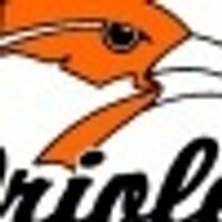 Springville CSD (@orioleupdate) Twitter profile photo