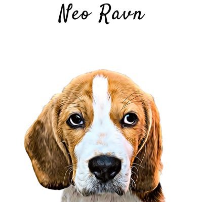 NeoRavn's profile picture. Just a Beagle trying to make his way in the world
