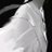 zcc122's profile image
