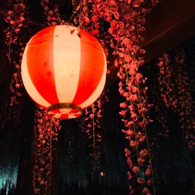 amsy0908's profile picture. 心機一転