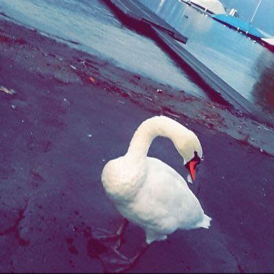 noufalown6's profile picture. ربي اغفر لي ولوالدي