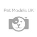 PET MODELS UK 💙 (@petmodelsuk) Twitter profile photo