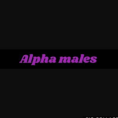 YouTube Group Consists Of 3 Members | Alpha Males Merch Coming Soon... | Subscribe To Our YouTube Channel 💜