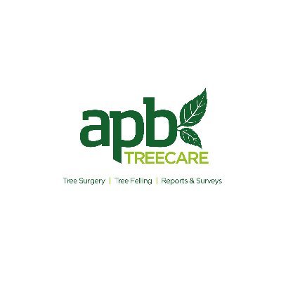 Arborist l Tree Surgery | Tree Felling | Reports & Surveys