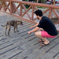 Z O O K S (@zyadnasr) Twitter profile photo