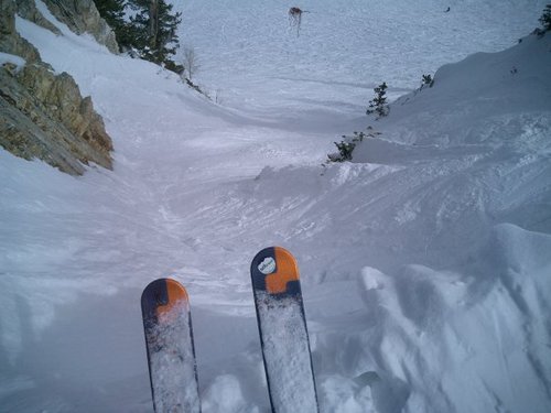 einnhoj's profile picture. 