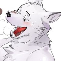 kogawakenta (@kogawansfkenta) 's Twitter Profile