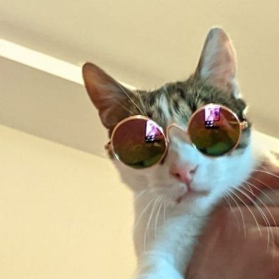 ozbokuboncuklu2's profile picture. konuşamam yalnızca miyav