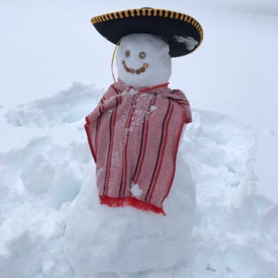 profesional en causar pleitos a lo idiota en Twitter. La gente se toma todo tan en serio...