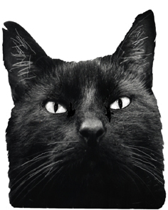 Neilawanui's profile picture. My name is Neilawanui , I am a Bagach - I live in Aotearoa -