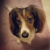 Taylor (@taylorrl12) 's Twitter Profile