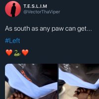 SouthPaw◻️ (@psalmbosa) 's Twitter Profile Photo SouthPaw◻️ (@psalmbosa) 's Twitter Profile Photo