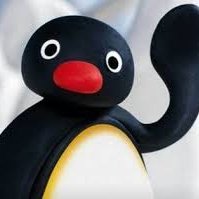 Pingouin Salé