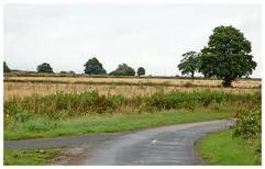 Reallogoland's profile picture. 