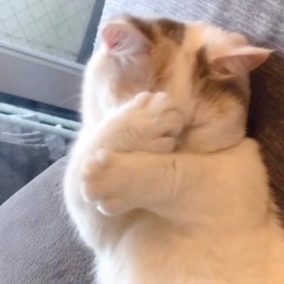 Naff124's profile picture. Places inspirational quote here