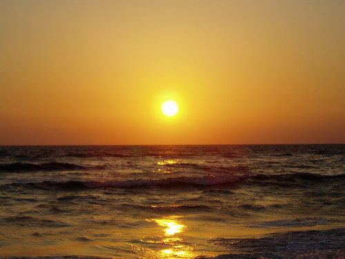 DeltaLoungeTiki's profile picture. Reaching paradise without paying a paradise price.