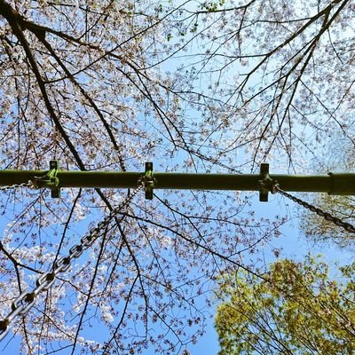 hanpenmura's profile picture. 画家！油絵や絵本を描いたりしてるCoccoオールスターズ。
絵画販売サイト→
https://t.co/TDwIbbgsHb

絶好調の人工股関節でピクミンブルームしているよ、猫のカスミちゃんのために健康第一だよ。

光を繋いでみんなで生きていけますように⭐⭐⭐