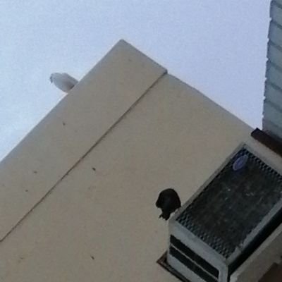 سلام عليكم ورحمة الله وبركاته اشتركوا معنا نعطيكم كل شي جديد تكفون شترك في القناه الله يجزاك اسم القناة مجنون مجرشي