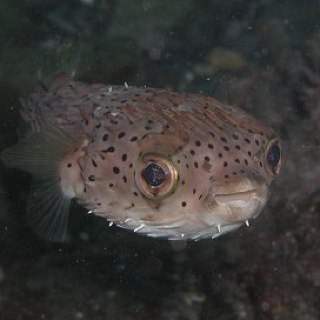 ビール大好き！ クルミパンおいしいね〜