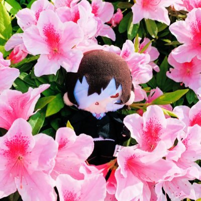 TsuRuさんのプロフィール画像
