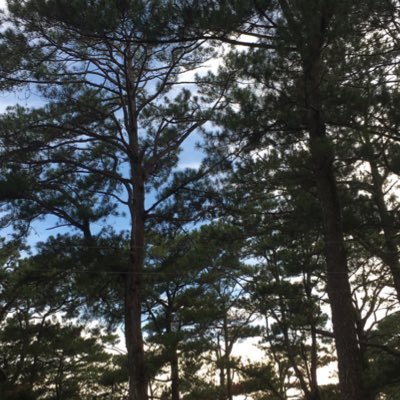 LeeAxcxfbx's profile picture. 26