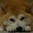 ryou0407's profile image