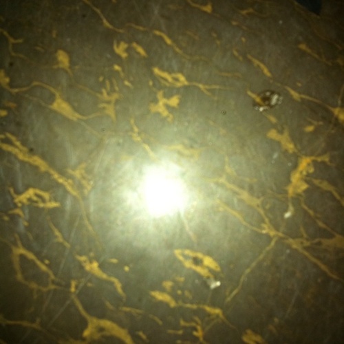 lifelike11's profile picture. 