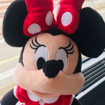 chengzh49517486's profile picture. voyager