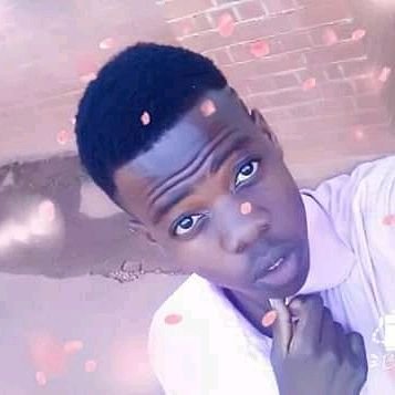 SavalaTanaka's profile picture. I am the salt of the world