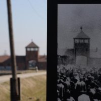 Auschwitz Memorial(@AuschwitzMuseum) 's Twitter Profileg