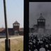 @AuschwitzMuseum