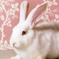 みきてぃమికిట్టీ🐎🏍 (@chelsea3go) 's Twitter Profile