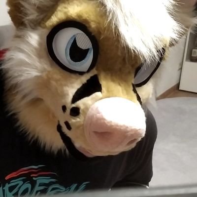 vulparion's profile picture. Fox/M/30/coffee addict