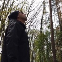 JD DAVIS (@jddavisofficial) 's Twitter Profile