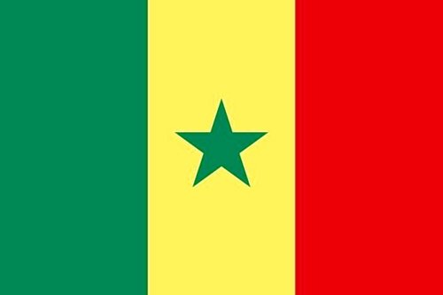 freesenegal's profile picture. 