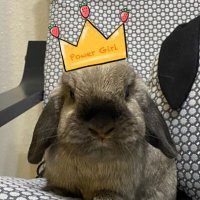 和泉ユタカ (@izuyuta) 's Twitter Profile Photo 和泉ユタカ (@izuyuta) 's Twitter Profile Photo