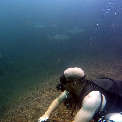 Spaniard living in the UAE. Scuba Diving and Data Science.
RT doesn't mean endorsement.