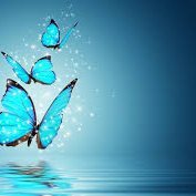 KiriyaNetwork's profile picture. cool person.