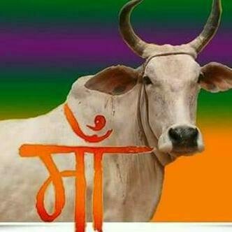 गौभक्त एवं राष्ट्रभक्त,
गर्वित  हिंदुस्तानी,
स्वयंसेवक ।

देशद्रोही सोच वाले फोलो और मेसेज न करे