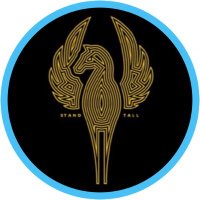 Former Mersey Mounted PC (@merseymountedpc) 's Twitter Profile