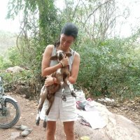 Minerva Figueroa (@figurr) 's Twitter Profile