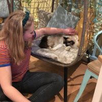 Alice Blane (@blane_alice) 's Twitter Profile