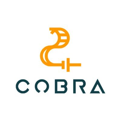 COBRA_batteries Profile Picture