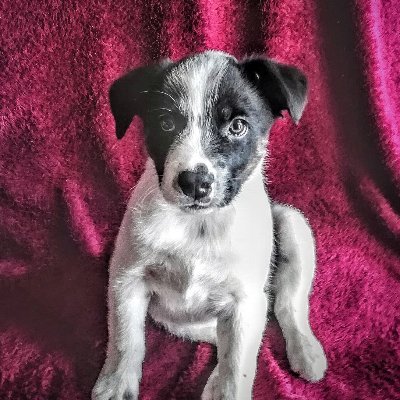 JamieMo31009792's profile picture. 